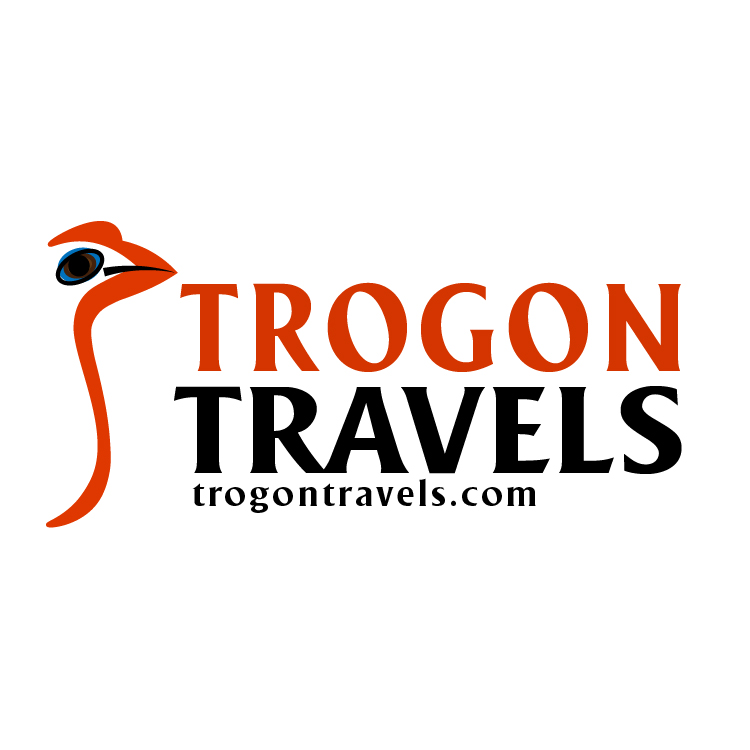 facebook-trogon-jpeg-01