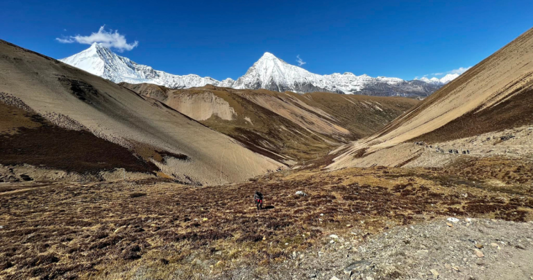 Bhutan: A Hidden Birding Jewel of the Eastern Himalayas