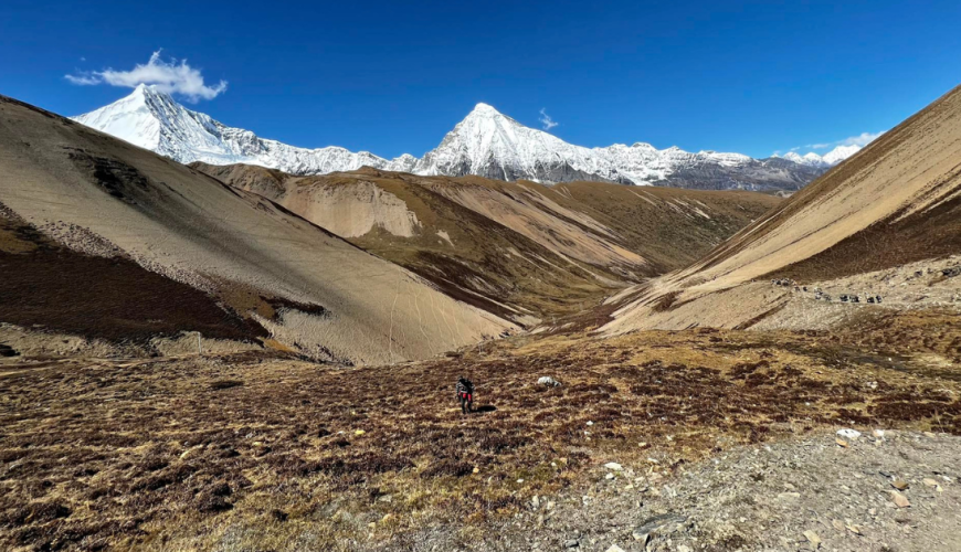 Bhutan: A Hidden Birding Jewel of the Eastern Himalayas